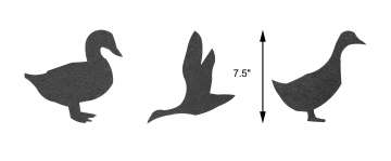 Tracing Templates Ducks 3pc
